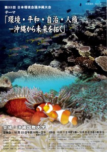 日本環境会議沖縄大会（表）